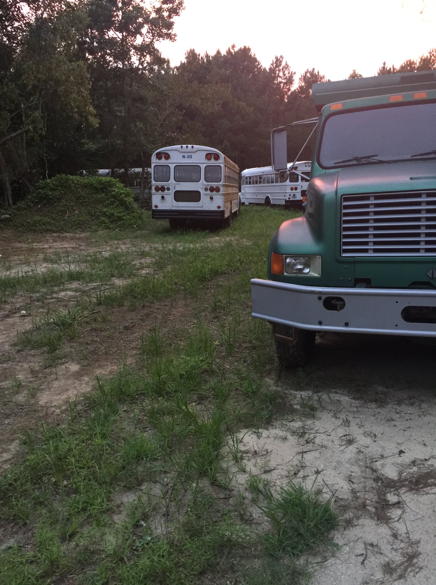 Old Buses